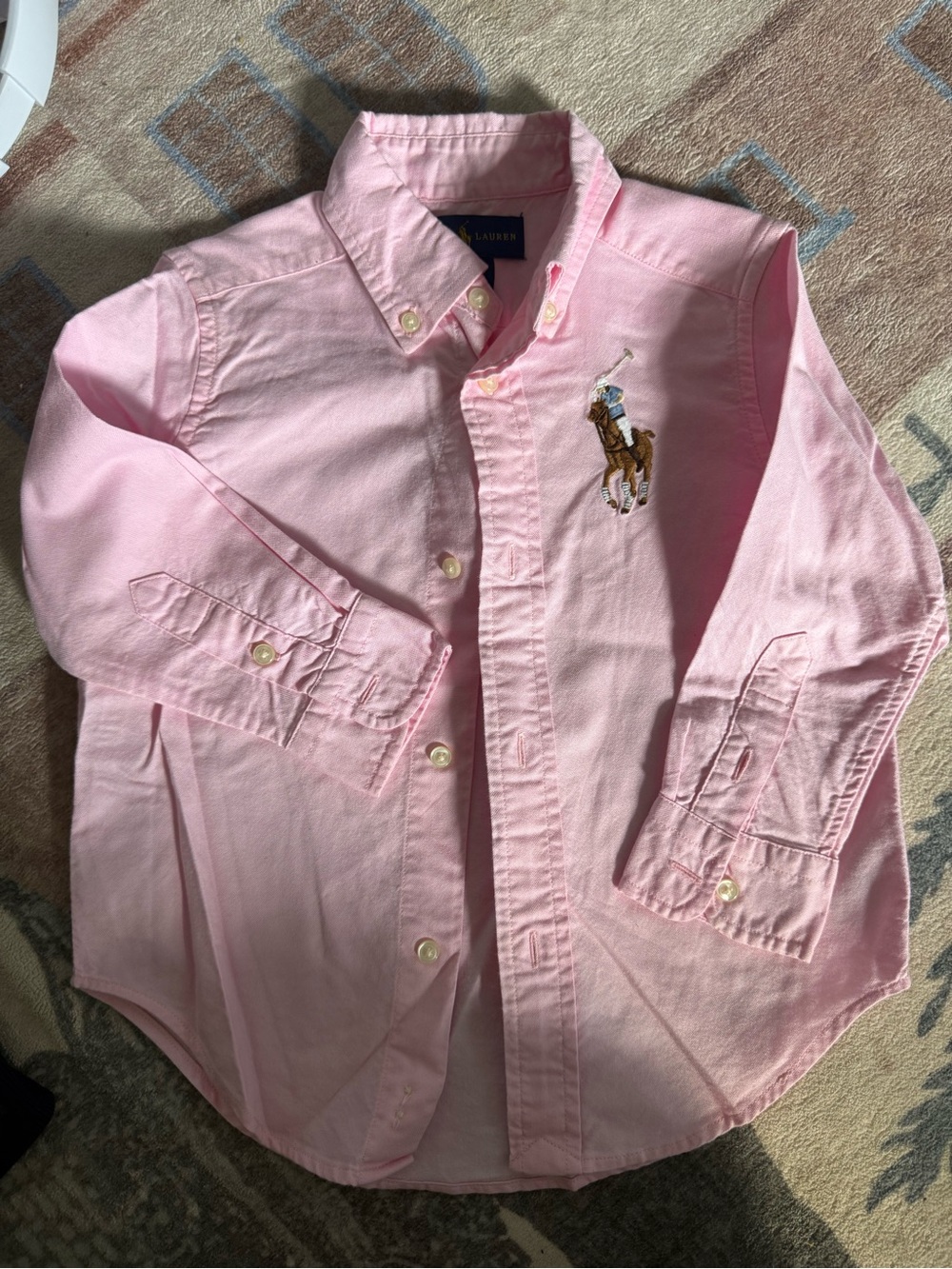 Polo by Ralph Lauren Pink Boys' Button-Down Shirt with Embroidered Pony